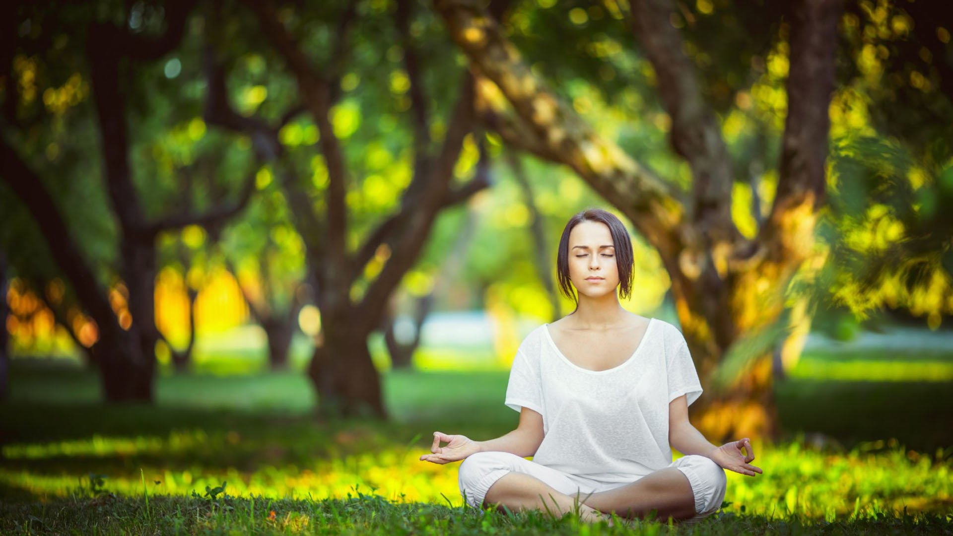 郑钦文换帅迷局，11冠王光环下的执教难题|IM电竞app